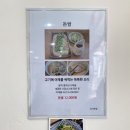 국시트멍 네이버블로그