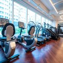 골든짐(GOLDEN GYM) 네이버블로그