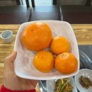 [서귀포]제주도 표선 맛집 &#34;야문어&#34;ㅣ문어숙회 해물라면 흑돼지덮밥 조합 강추