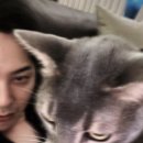 로로네일 이미지