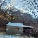 계룡산동학사자동차야영장 | 동계 캠핑 후기 : 대전 근교 캠핑장 계룡산자동차야영장 1박 후기