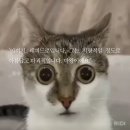 길음만물 | 변함없이 아름다운 나의 천국을 위해