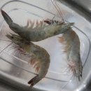 통영금오수산