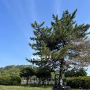 수화물 캐리어 28인치 캐리어 찐찐 사용기 여행할땐 로드웨이 캐리어