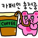 뀨카페