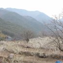 원동마을길 이미지