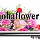 대구탑연합정형외과의원 이미지