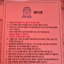 바람난 강아지 | [경북/포항시]남구 '풀글램핑&amp;펫글램핑' 강아지와 다녀온 후기 ㅣ 포항애견동반펜션