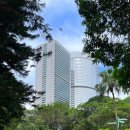 새들약국 이미지