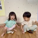 오감- 피에트 몬드리안, 체육- 외발 짐수레 이미지