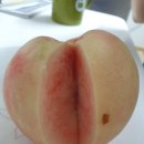 경봉마트 | [라라과일 화순 경봉복숭아 구매후기] - 내돈내산 찐 후기