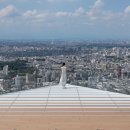 [준비]피크타임 성공해버려따!'시부야스카이' 공식사이트 예매 방법