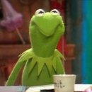 바디랩스 | 양치만으로 부족해서 샀다! 바디랩스 구강세정기 후기