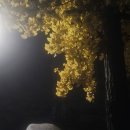 골뱅이 PC방 | 11.10~11.16