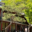 온달동굴식당 이미지