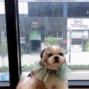 노아동물병원 이미지