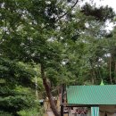 가산글램핑 이미지