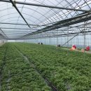 함평농장 이미지