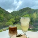 [부산 기장(장안)/카페] 아틀리에 은유재 : 커피 한 잔 하면서 힐링하기 좋은 숲(+마당) 뷰 도자기 카페