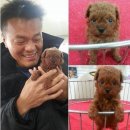 호두와파이 네이버블로그