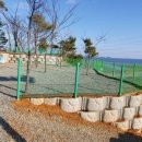 무지개펜션&캠핑 | 영흥도 무지개 펜션 &amp; 캠핑장 후기
