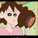 메이슨피어슨 빗