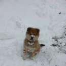 백곡농장 이미지