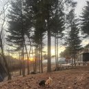 [영월] 눈 구경하러 갔다 반하고 온 '산골 도깨비 캠핑장' D6 후기 (내돈내산)