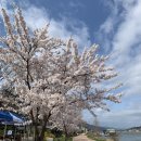 진숙목장 | [4월 일상]