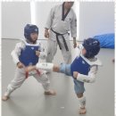 용인대영웅태권도장 이미지