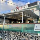제주 남원 맛집 일송회수산 자연산 방어 자연산 광어
