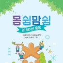 물들이다 이미지