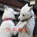 없음 이미지