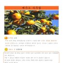 리우농장 이미지