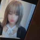 (주)신도무거골프클럽 | 급하게 떠난 7월과 12월의 오사카 ~ 오타쿠 투어 ~