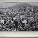 자연사랑 미술관 이미지