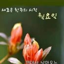 스무이레