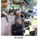 캡틴PC방 이미지