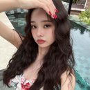 프리지아 이미지