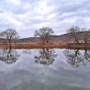 대평낚시터 이미지