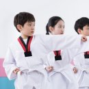 타이거 태권도장 이미지