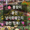 세븐일레븐 용인남사대로점 | 남사화훼단지 예삐플라워, 네이처가든&amp;국가대표플라워...에르베 플라워 솔직 방문후기 및 상세 가격...