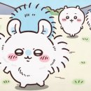 점프시티 이미지