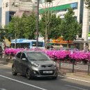 수상한흥신소 이미지