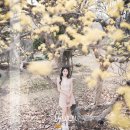 예원유통 이미지