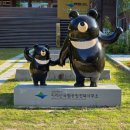 HJM | &#34;지리산 뱀사골 제1야영장 2박 3일 후기&#34; 자연과 하나 되는 시간, 여름날의 최고의 피서지!