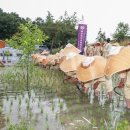 국가무형문화재예천통명농요보존회 Daum카페