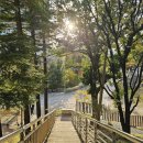 효제길 | 춘천 효자동 중식 죽향 양도 많고 맛도 좋은 가성비 최고의 맛집 내돈내산 후기