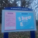 솔로몬마트 이미지