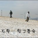 노송목장 이미지